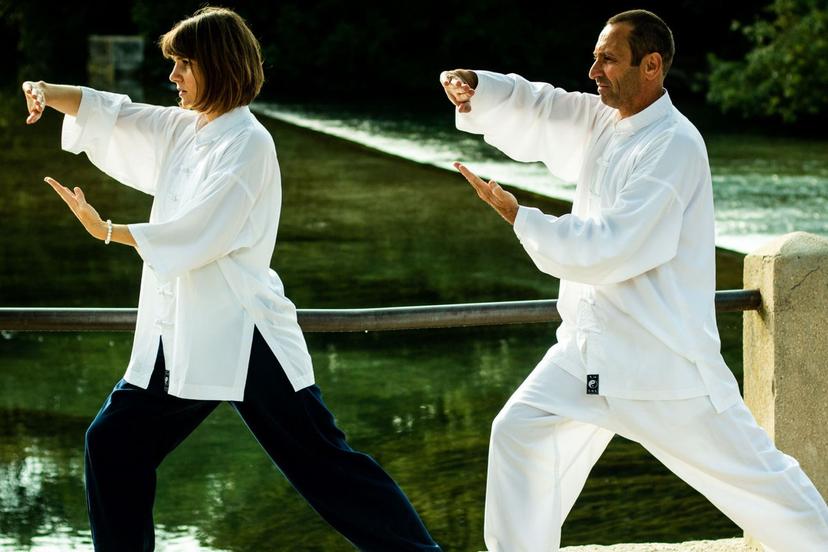 Devenir animateur de Qi Gong — Promotion 2026-2028