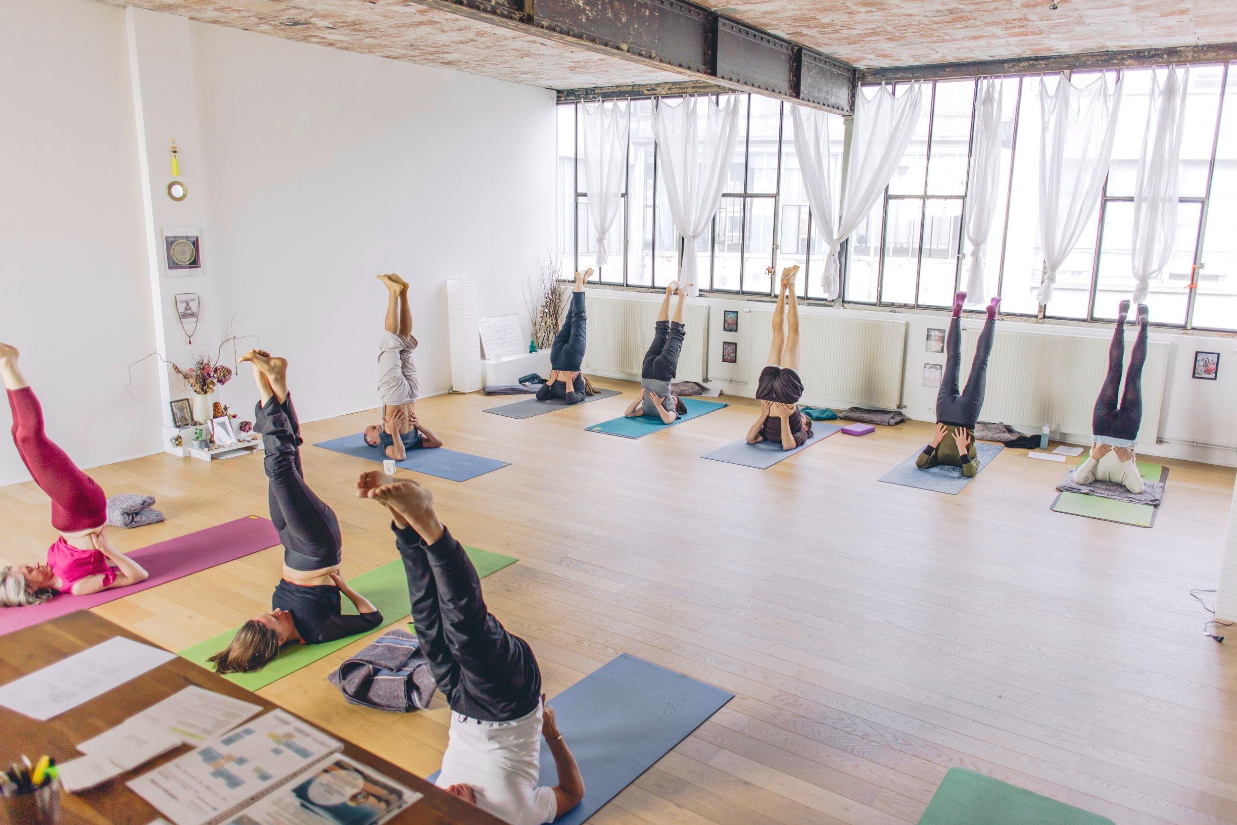 Formation d'enseignant de hatha-yoga traditionnel 200h