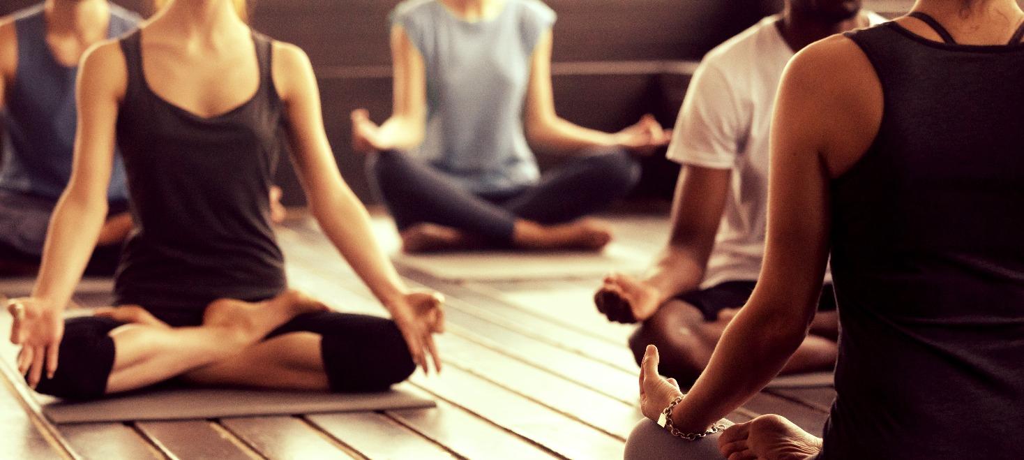 Formation d'enseignant·e de yoga — Rentrée année 1 (cursus 500h) — École Soham
