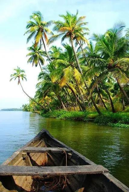 Voyage retraite yoga & ayurveda au Kerala, Inde