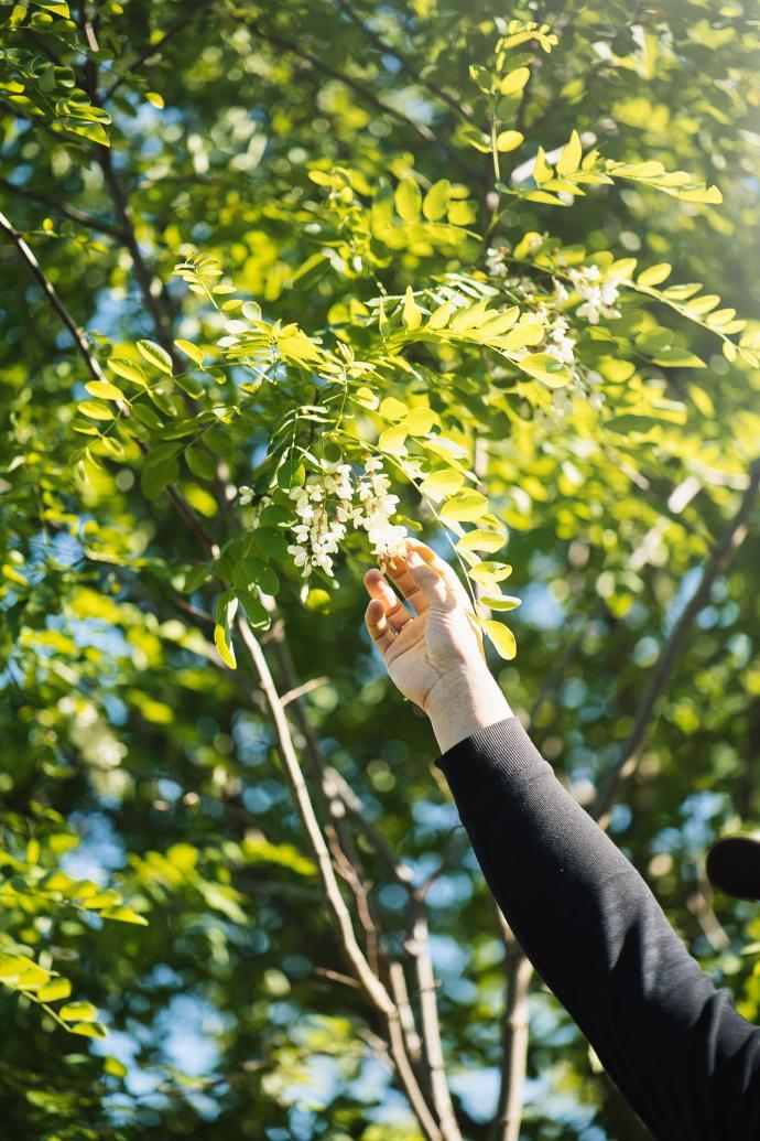 Reconnexion, retraite en nature
