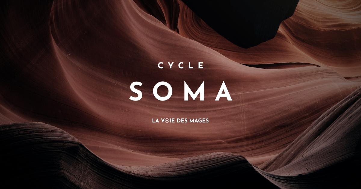 Immersion SOMA — Lecture et régulation psychosomatique