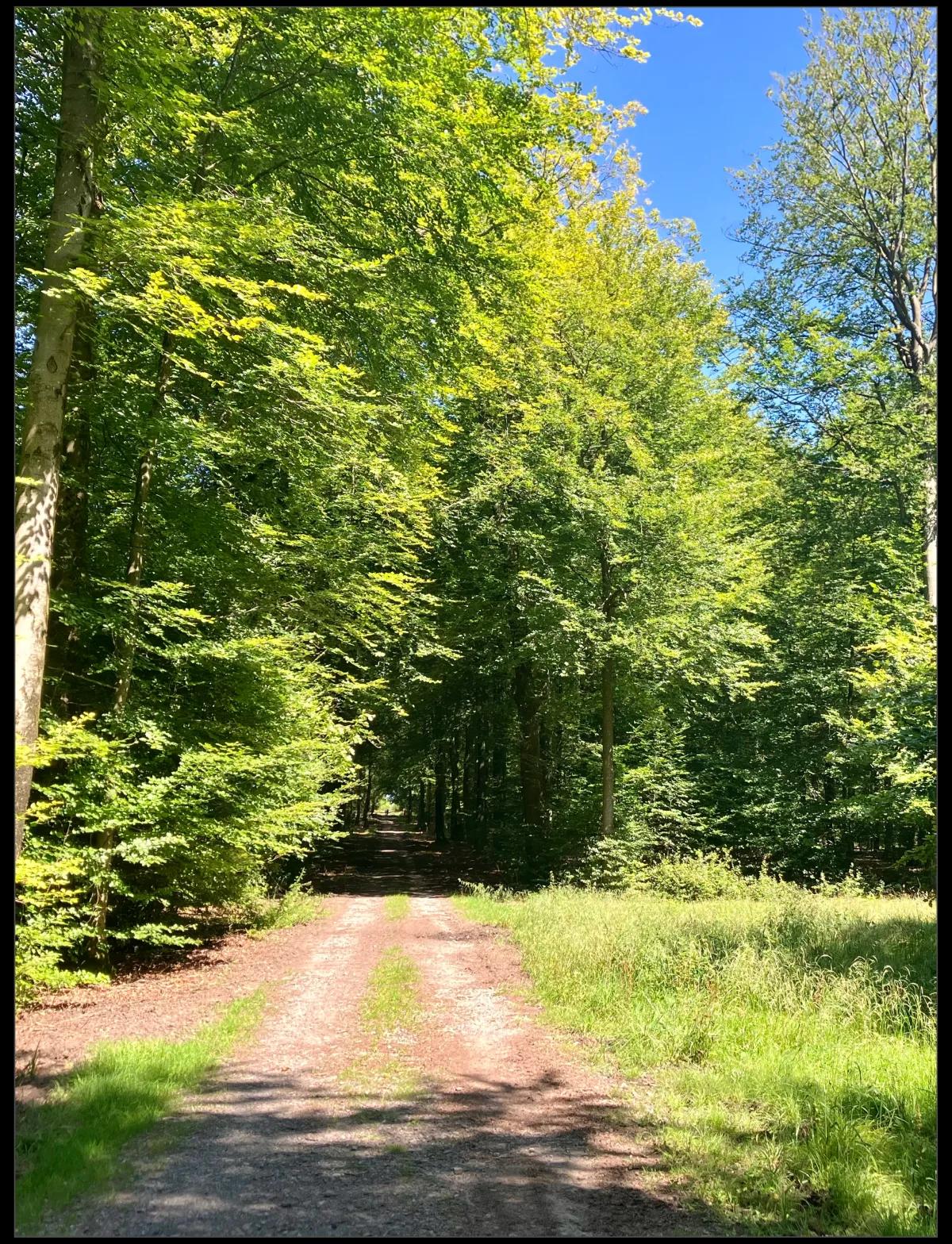 Jeûne & randonnée en Ardenne, 7 jours