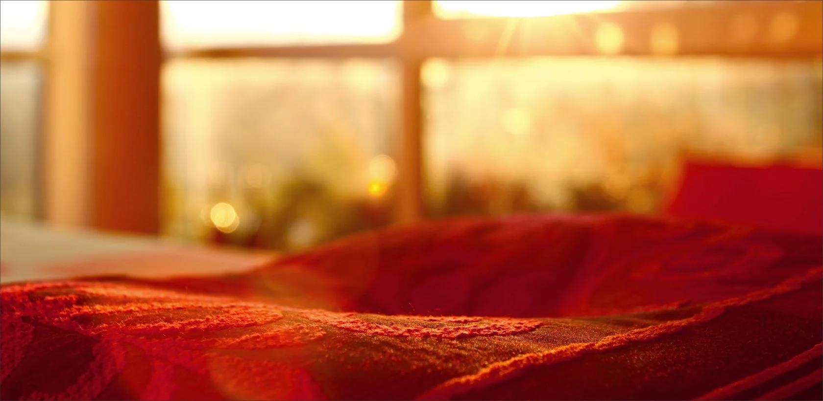 Formation Reiki Usui - 1er degré