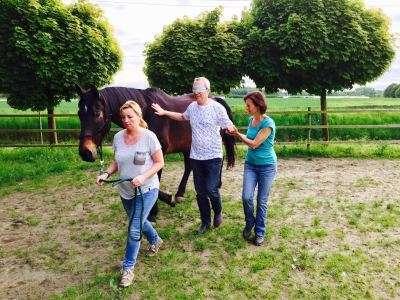 En lien avec la nature, notre féminin et les chevaux
