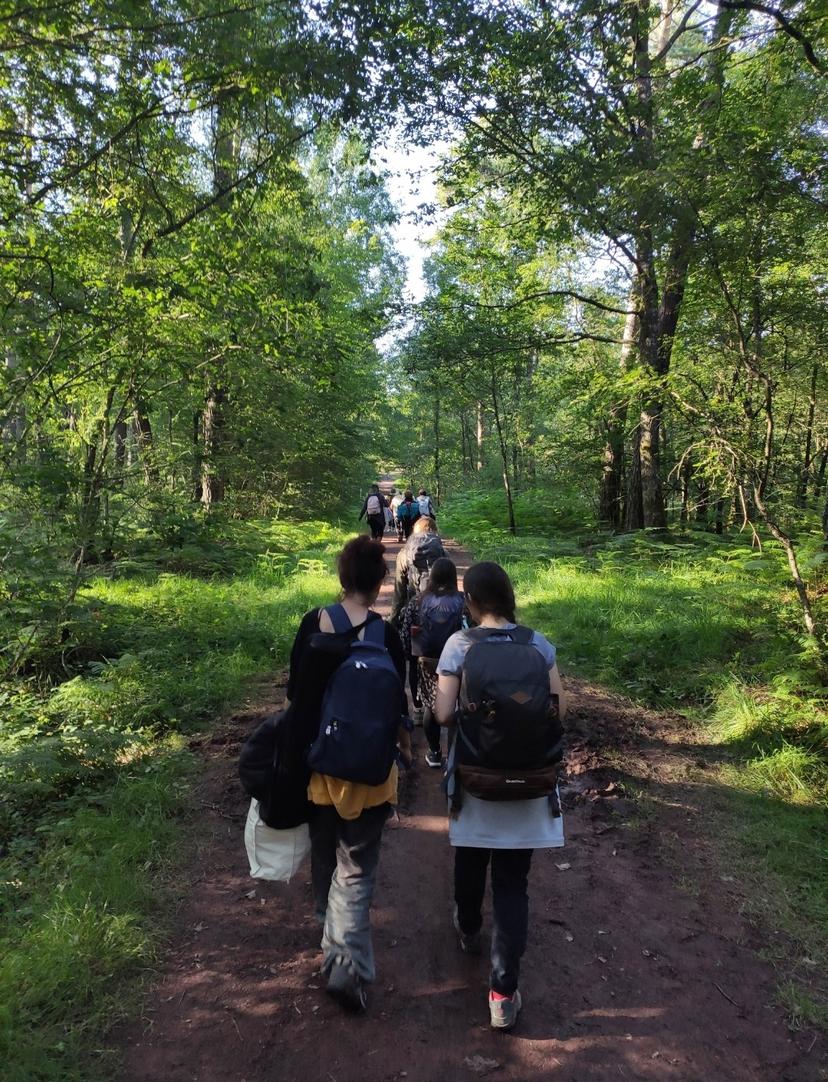 Femmes Libres et Sauvages en Brocéliande