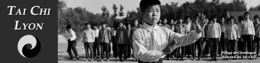 Formation d'Enseignant de Tai Chi Chen — Devenir professeur (cursus, rentrée…