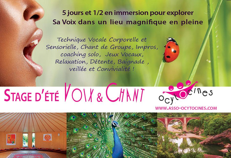 Stage Voix & Chant en nature