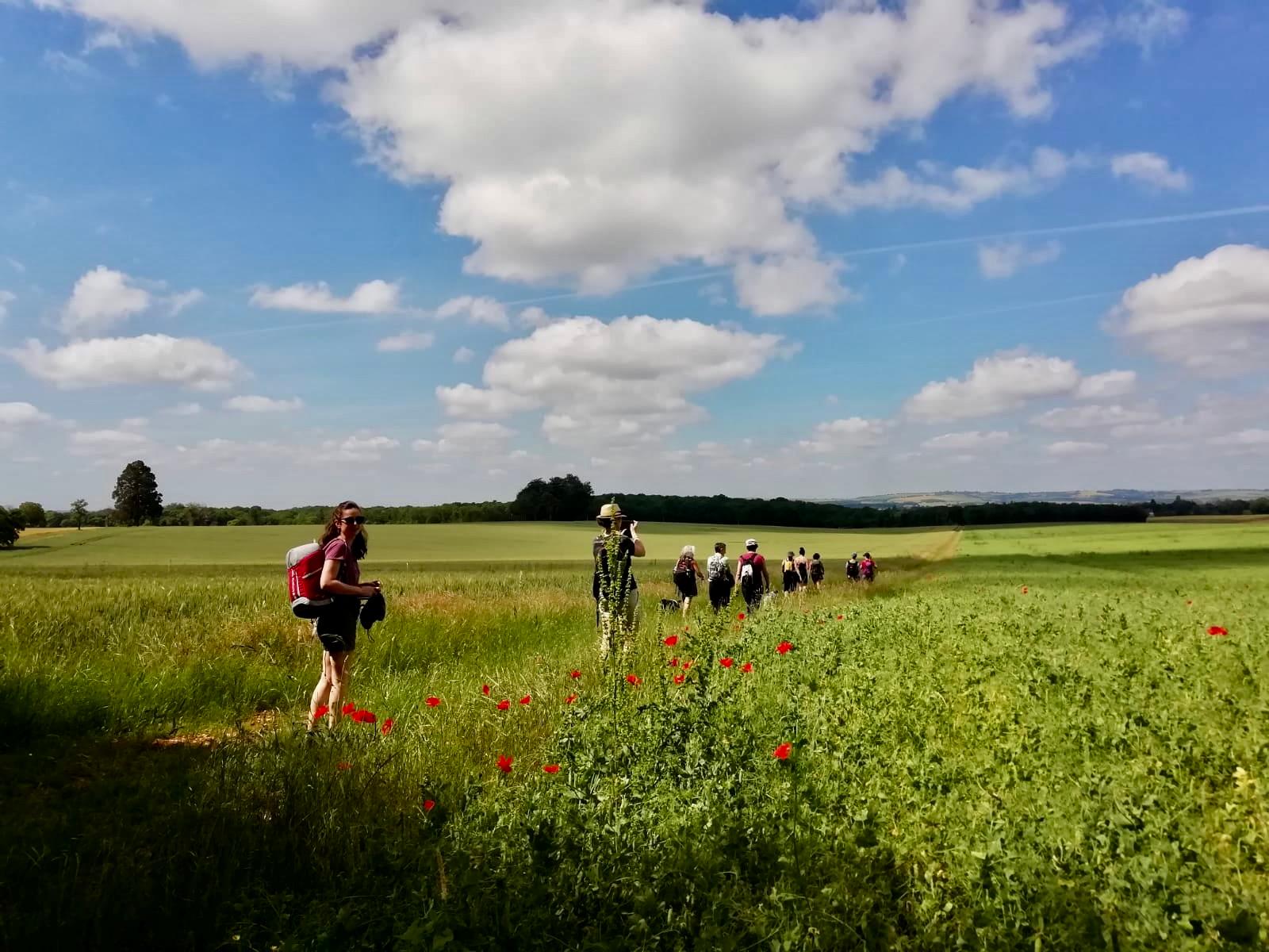Stage de jeûne et randonnée en Bourgogne