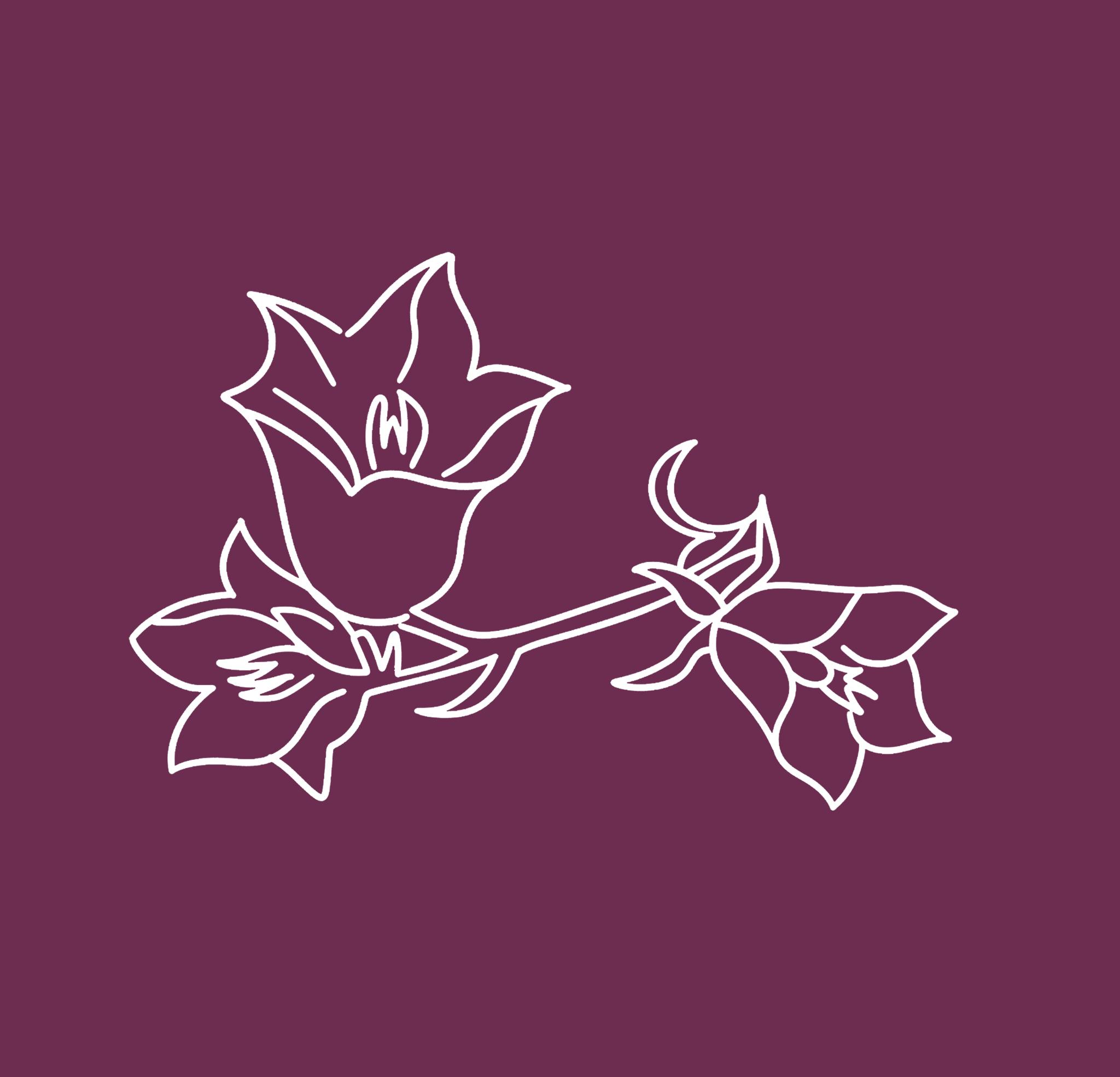 Initiation Reiki Usui — Niveau 1 (Shoden)