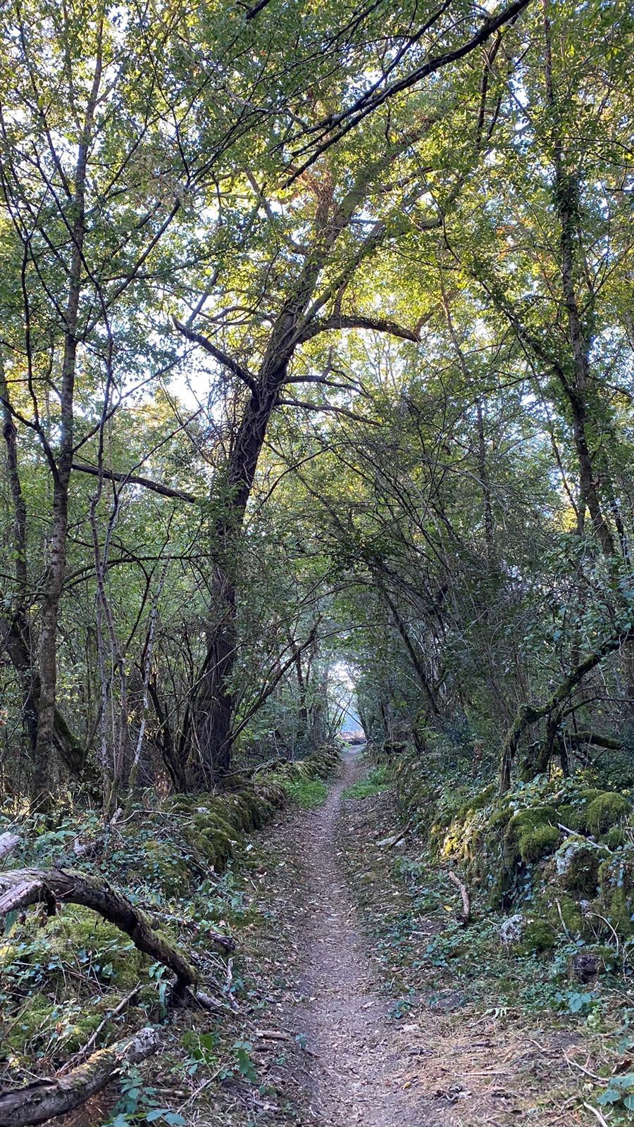 Accompagner sa vie par le dessin