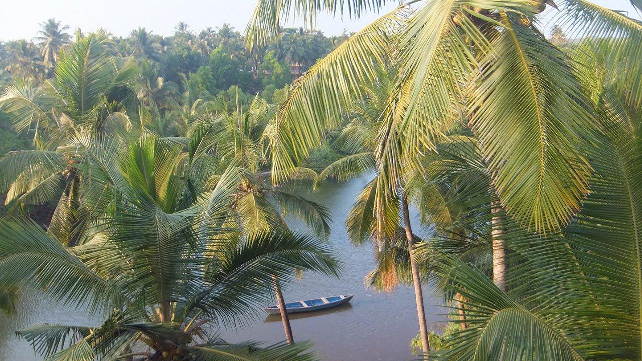 Stage de yoga en Inde — Goa (Ashiyana) avec Gérard Arnaud