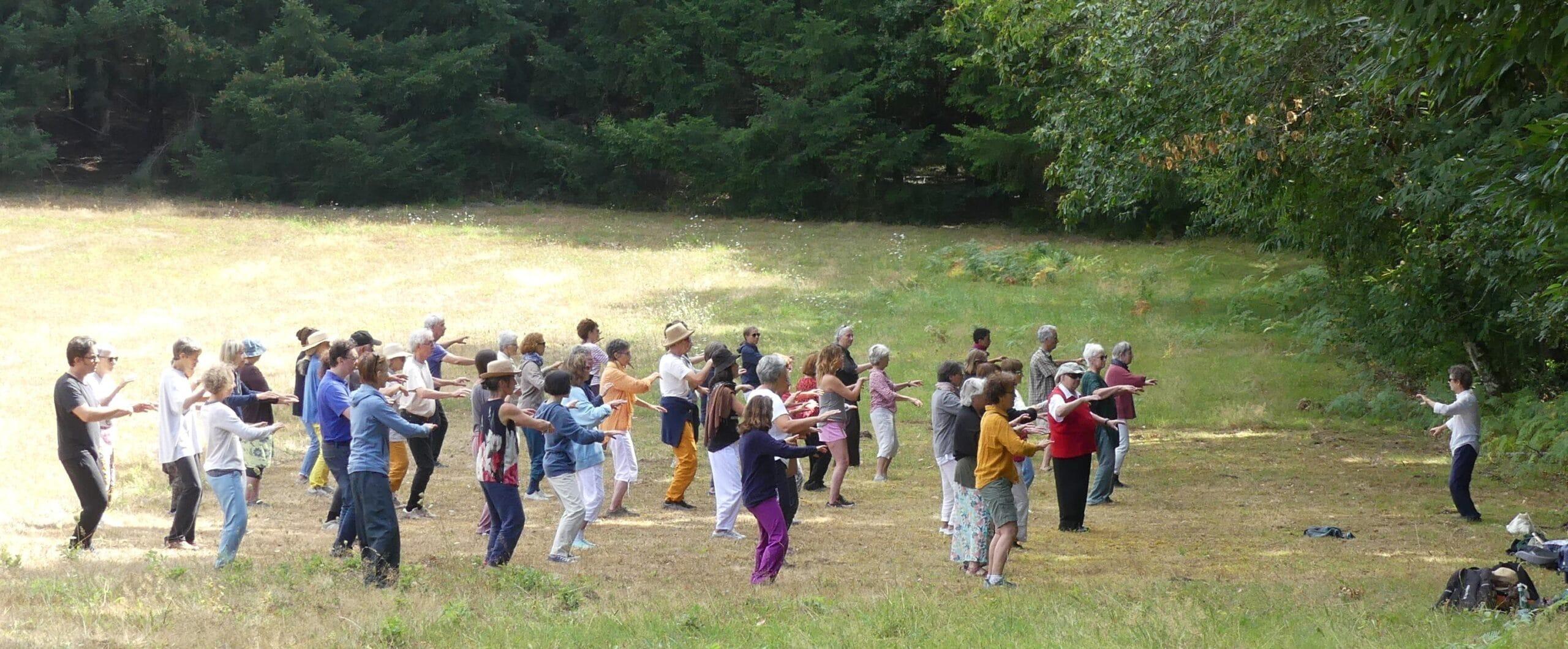 Devenir enseignant de Tai Chi et de Chi — Cursus Corps Vivant Corps Conscient…