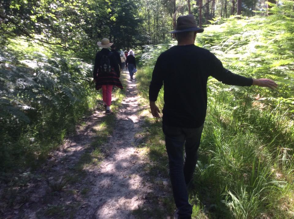 Formation Guide en sylvothérapie & bain de forêt