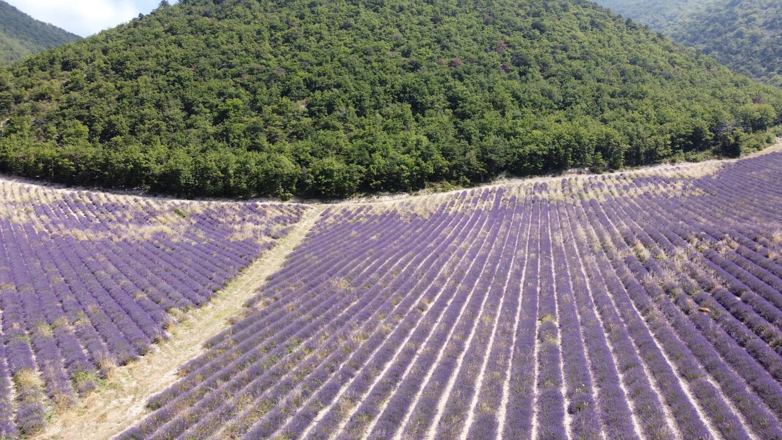 Retraites Provence-Alpes-Côte d'Azur en France